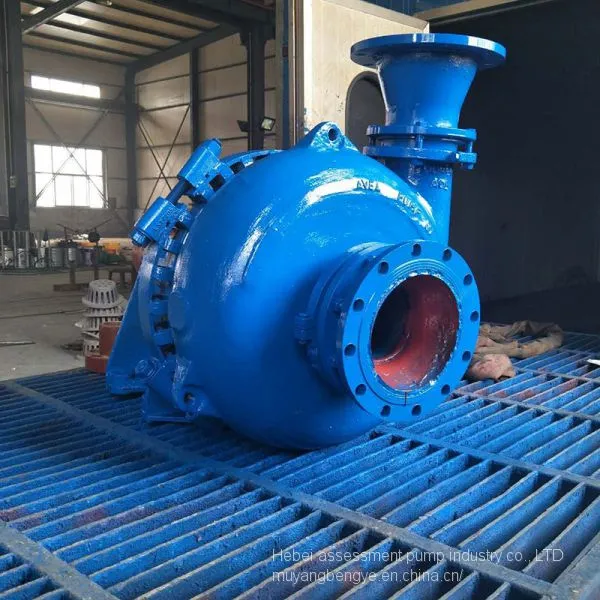 Assessment Manufacturer Supply Diesel Engine Pumping Sand Pump Self-priming Pump Sand Pump photo-3