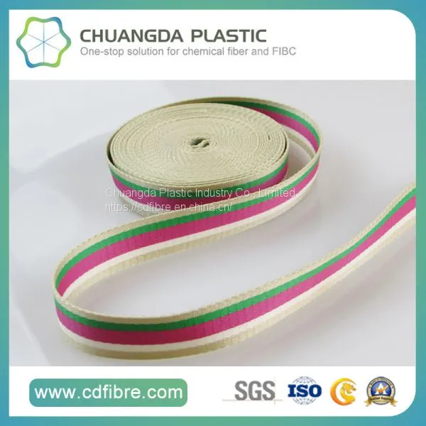 Webbing Products Type and Eco-Friendly PP Woven Belts photo-2