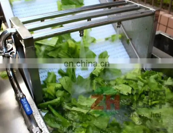 Automatic Green Olive Vegetable Washing Machine photo-6
