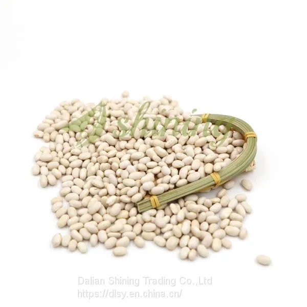 High Quality Japanese White Kidney Bean