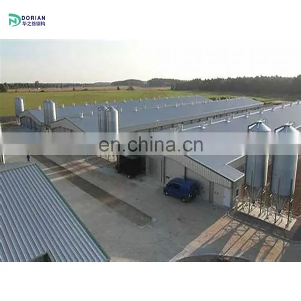 Farm Construction Chicken House for 3000 Chicken photo-4