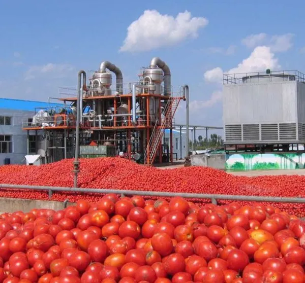 Factory Genyond Small Tomato Paste Ketchup Chill Pepper Sauce Fruit Jam Making Machine Production Line Processing Plant photo-5