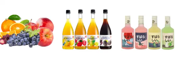 Turkey Project Apple Fruit Wine Vinegar Production Line photo-4