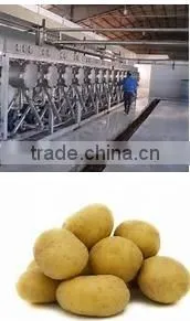 Starch Processing Line photo-2