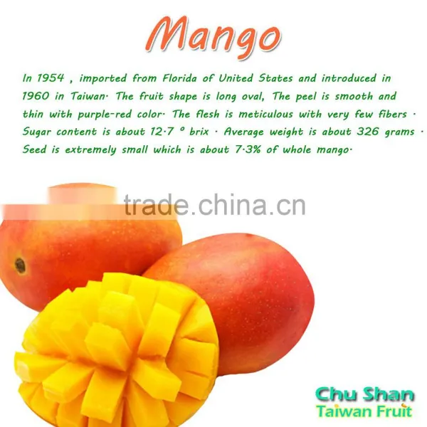 Hot Sale Fresh Mango (Grade AAA) photo-4
