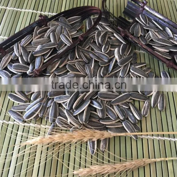 Cheap 2015 Sunflower Seed 601, 260-270/100g for Sale photo-3