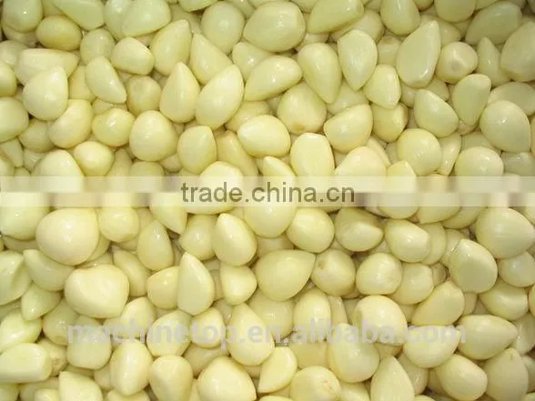 Manufacturer Of Garlic Peeler Machine photo-3