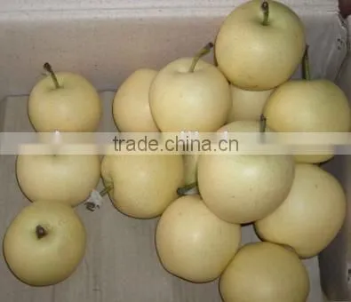 Golden Pear Fruit photo-3