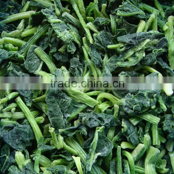 IQF Fresh Spinach photo-5