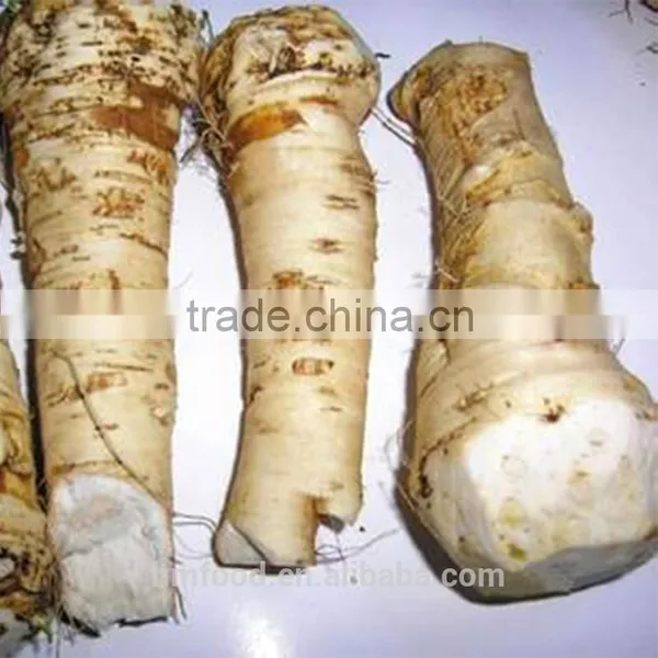 Good Quality Fresh Horseradish photo-2