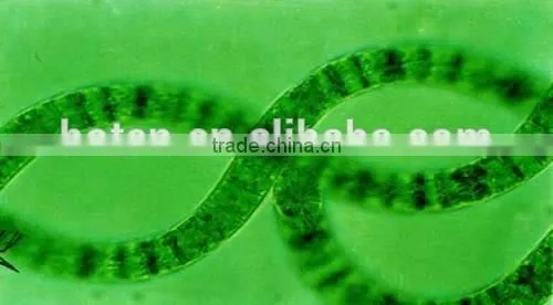 Bulk Food Grade Spirulina Powder photo-6