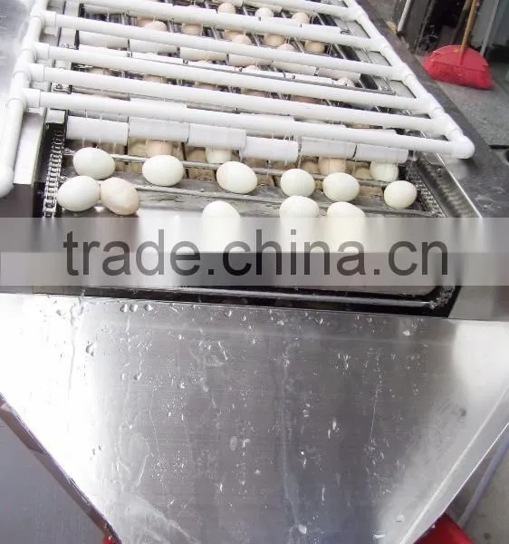 Industrial Automatic Boiled Egg Peeler Peeling Processing Machine photo-5