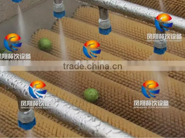 Spray Type Fruit/Melons/Vegetable Washing Machine With Roller Brushes photo-2