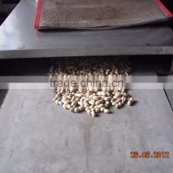 High Quality Conveyor Belt Microwave Peanuts Dryer and Roaster Machine photo-4