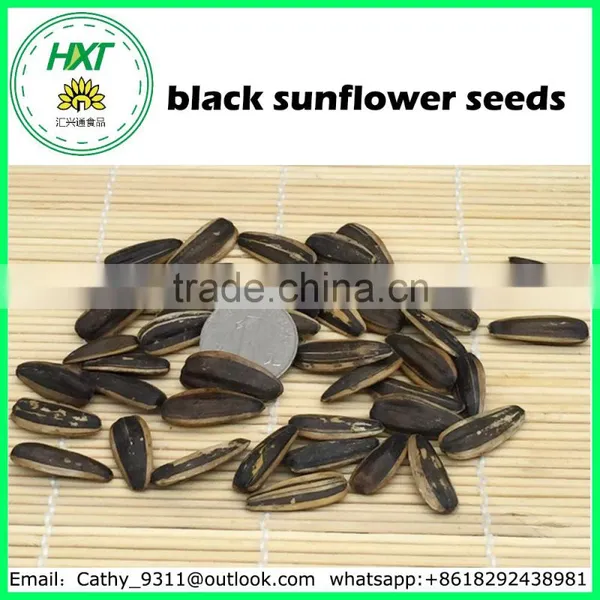 2016 New Product China Black Sunflower Seeds photo-2