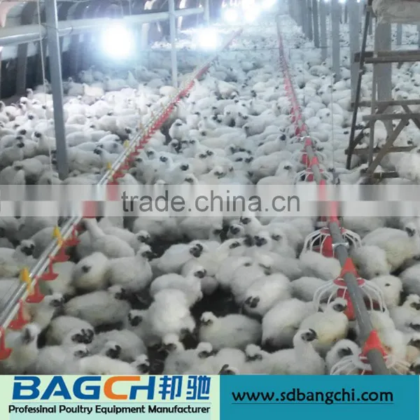 Automatic Complete Poultry Drinker Feeder Equipment photo-4