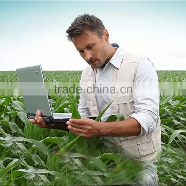 40% Plant Source Amino Acid Powder Fertilizer for Reasonable Price photo-5