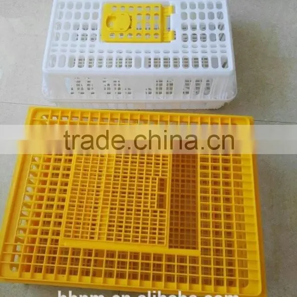 2016 Cost-effictive Good Quality Plastic Transport Chicken Crate/cage for Sale photo-5