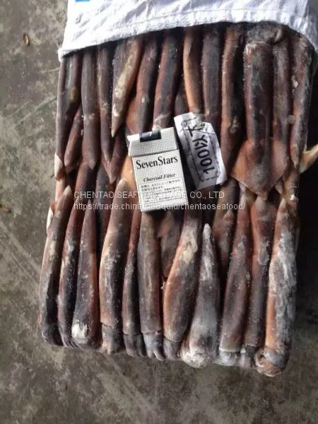 Frozen Squid photo-4