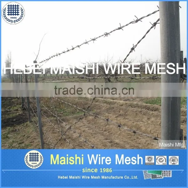 Galvanized Barbed Wire for Security Fence ( Factory, Low Price ) photo-4