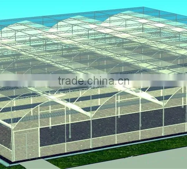 Multi-Span Greenhouse With Green House Roof Ventilation photo-6