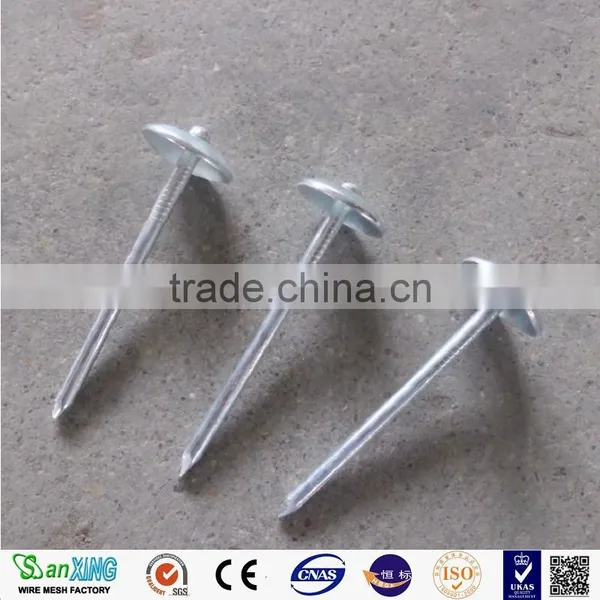 Q195 Umbrella Head Twist Shank Roofing Nails photo-2