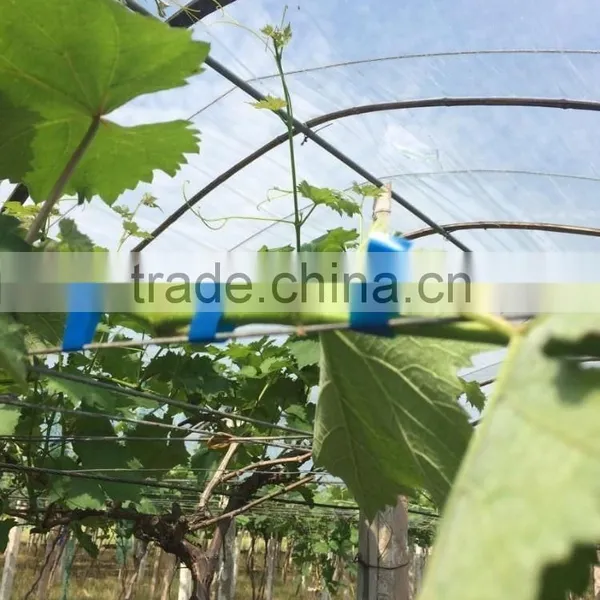 Tape Binder Tape Tool no Scrap,hand Tying Machine,wire Galvanized, Wireless Vineyard, Vineyard photo-3