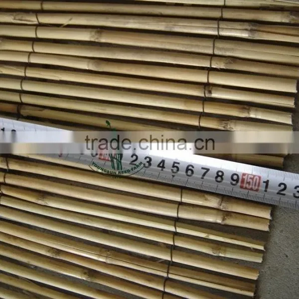 Natural Bamboo Reed Fence for Garden photo-5