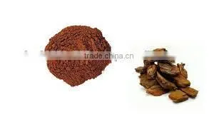 Pine Bark Extract