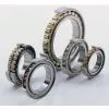 FAG Bearing-cylindrical Roller Bearing