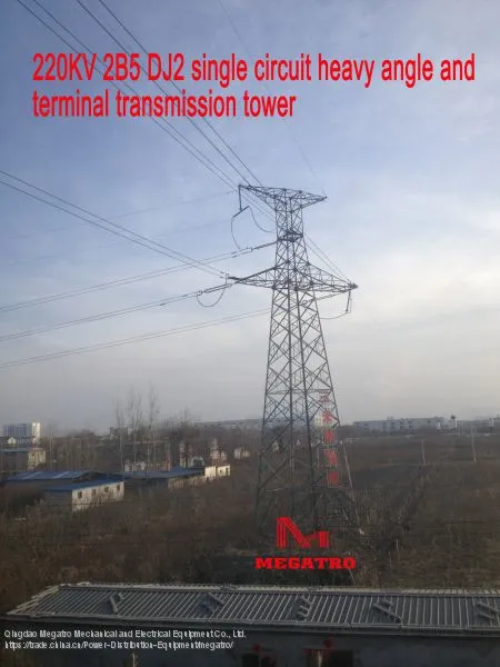 MEGATRO 220KV 2B5 DJ2 Single Circuit Heavy Angle and Terminal Transmission Tower photo-2