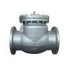 Forged Check Valve