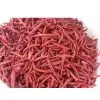 Red Chilli
