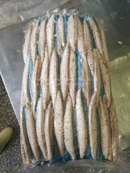 Precooked Bonito Tuna Loin Auxis Thazard photo-3