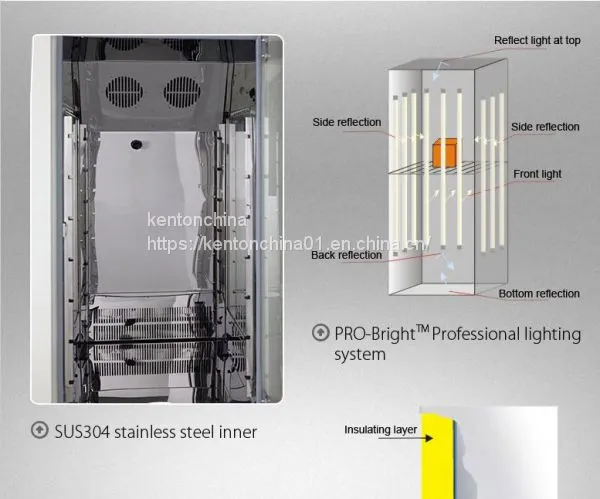 Seed Germination Thermostatic Light Incubator Professional Production Incubator for 20 Years photo-3