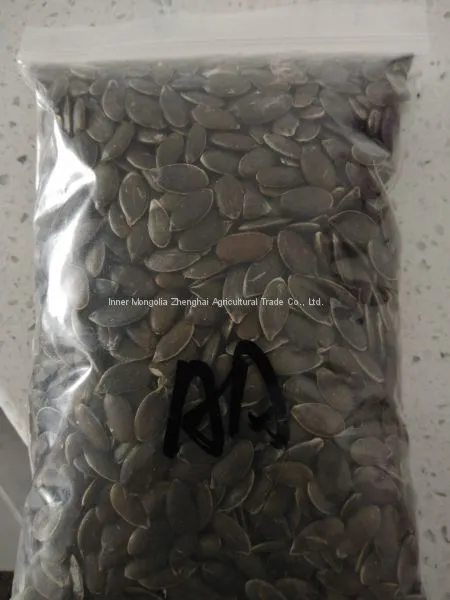GWS Pumpkin Seed Kernels photo-2