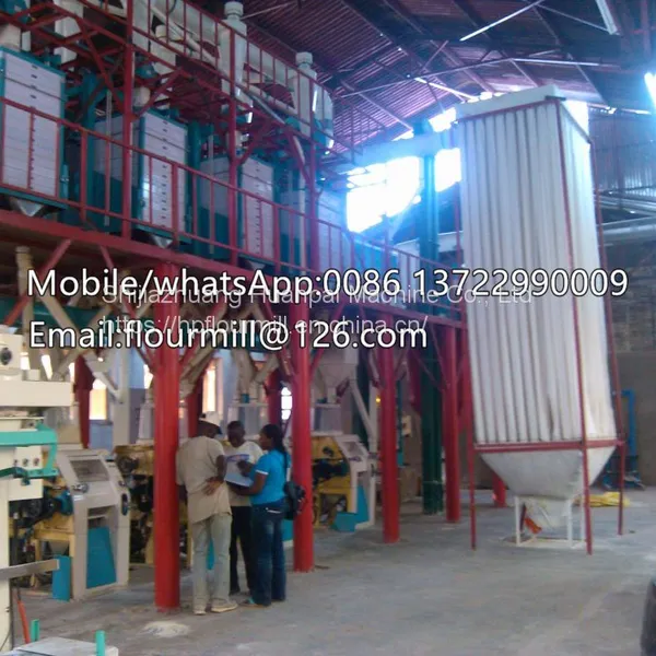 50t/24h Wheat Flour Milling Machine High Quality Wheat Fine Flour Processing Equipment photo-4