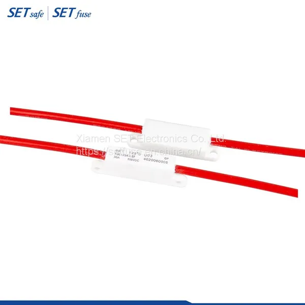 30A 600VDC Asl Series DC Alloy Atco Thermal Fuse Link Cutoff Motor Protector Manufacturers photo-2
