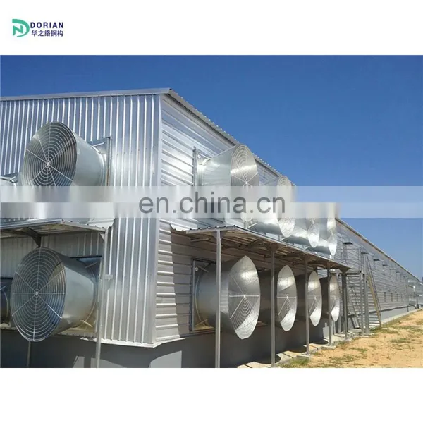 Small Automatic Farm Poultry House Sheds Chicken Farm for Eggs photo-5