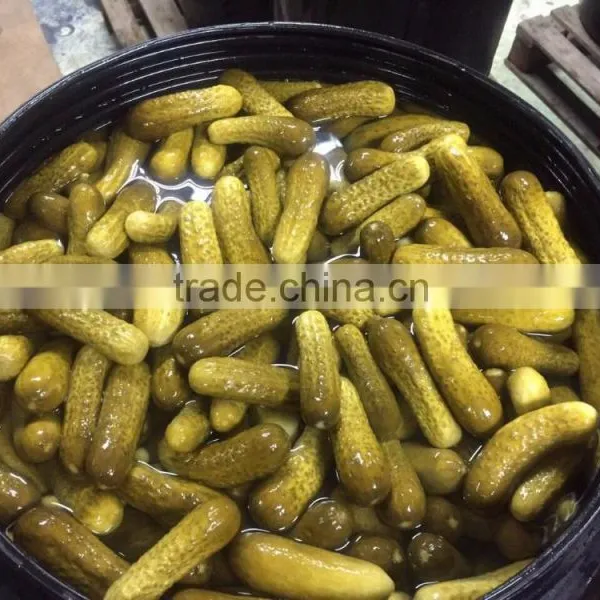 Gherkins in Brine