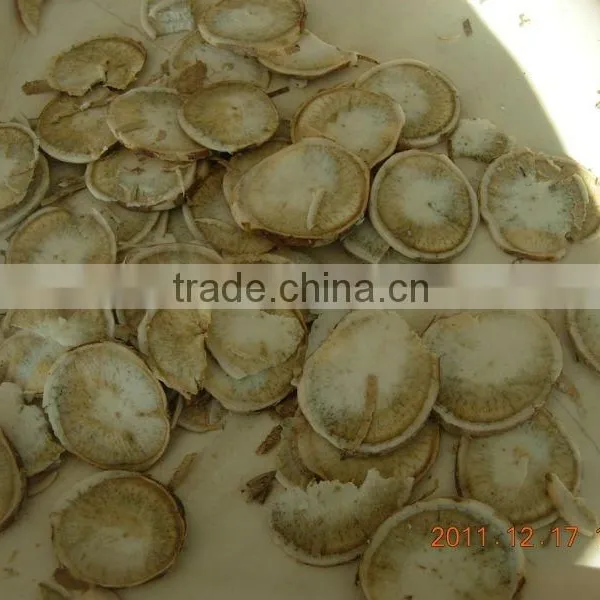 Cucumber Slicing Machine/Cucumber Slicer Machine photo-5