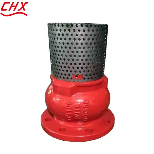 JIS/ANSI/DIN Foot Valve Cast Iron GGG50 Ductile Iron Flange Stainless Steel Filter Strainer Water Pump photo-2