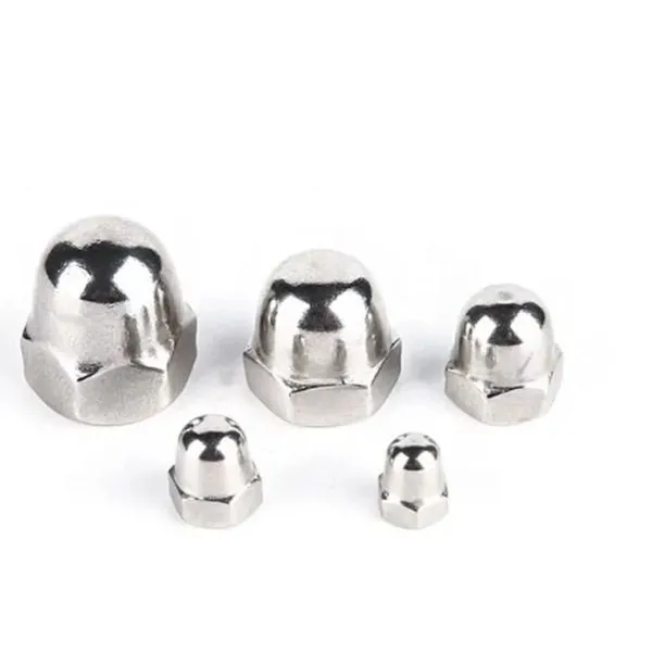 DIN 1587 Acorn Nuts Hex Dome Cap Nuts for Machinery Equipment photo-2