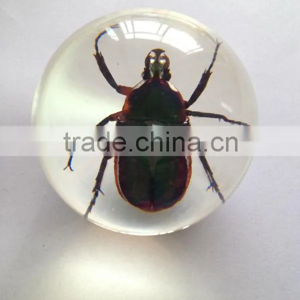 New Design Clear Plastic Christmas Sphere Ball With Real Ember Embedded for Promotional Gift photo-3