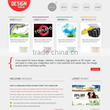 Professional PHP Web Designing photo-2