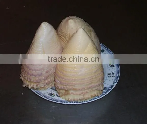 2016 New Crop Canned Bamboo Shoot 2950gram photo-2