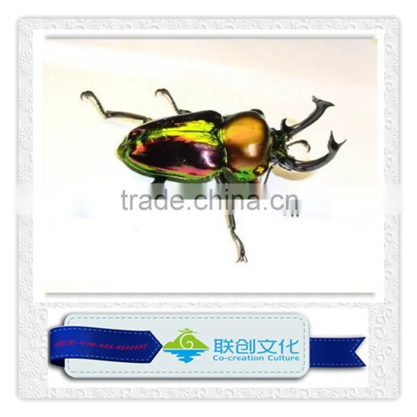 Animatronic Insects, Fiberglass Insects, Simulation Insects photo-3