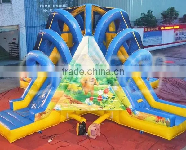 High Quality Cheap Climbing up and Sliding Down/slide With Climbing/inflatable Dry Slide photo-3