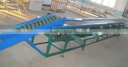 Yam Sorting and Grading photo-2
