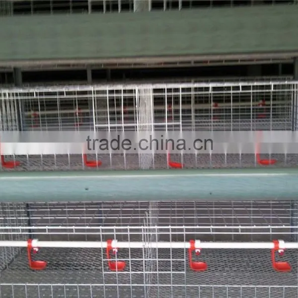 Layer Chicken Cages For Farm Low Carbon Steel Wire photo-3